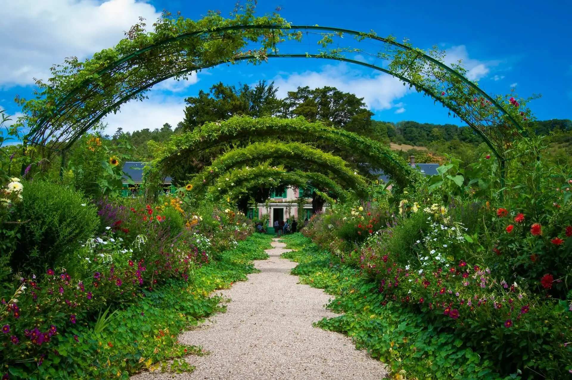 Gartenweg, der sich durch üppiges Grün schlängelt