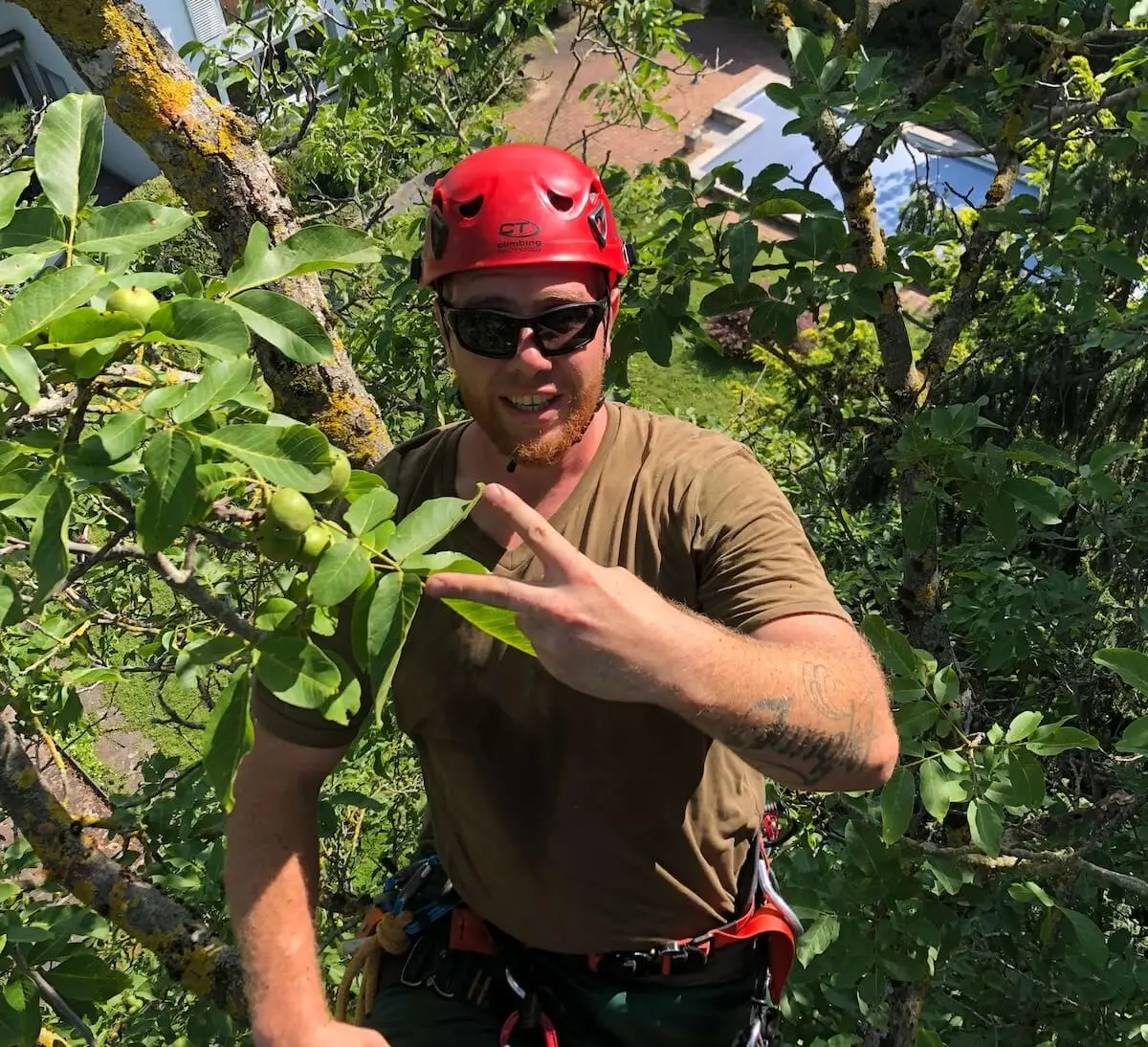 Philippe hat in einem Baum Spass