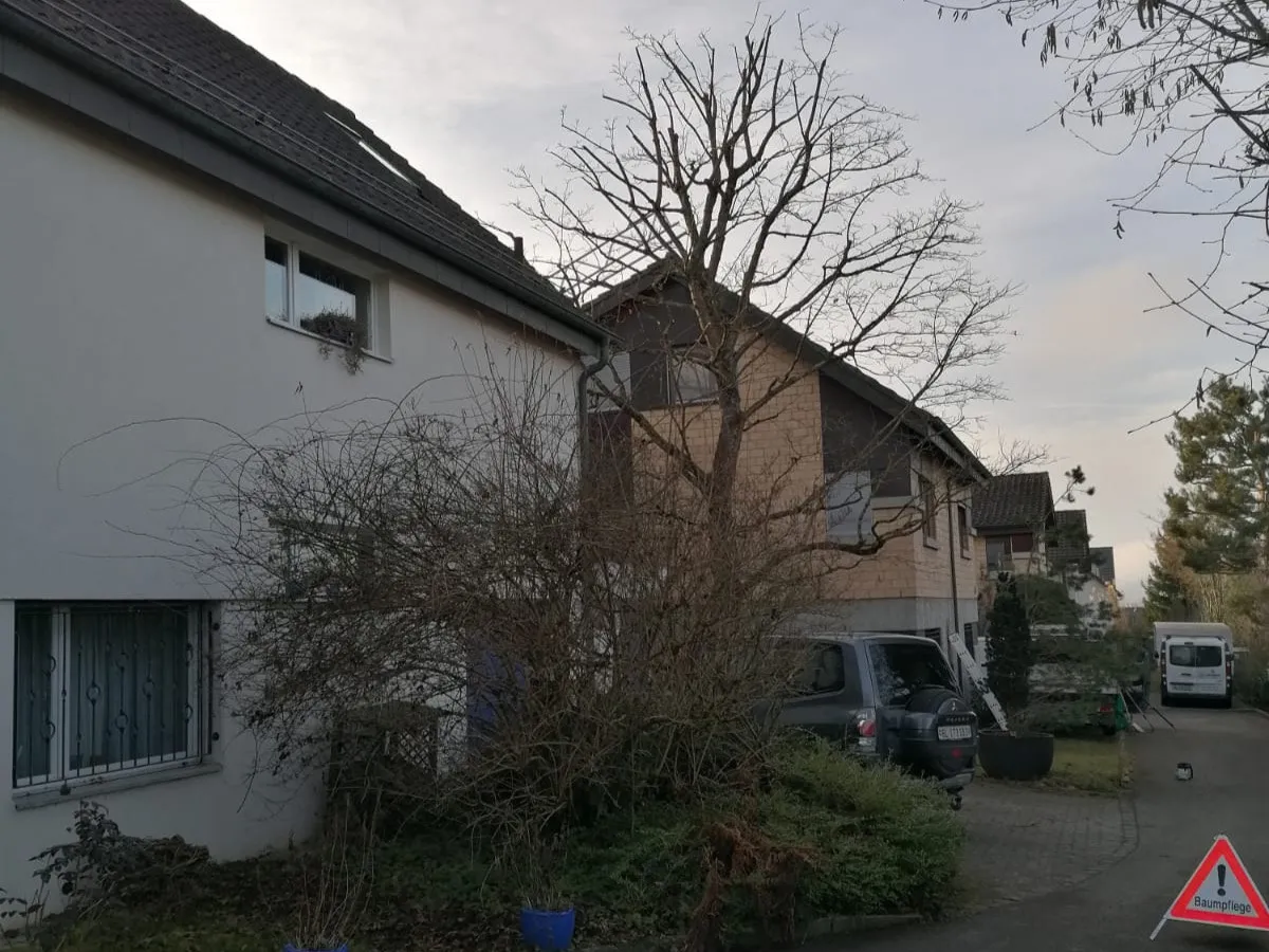 Baumpflege